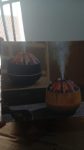 300ml Humidifier
